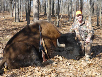 Rifle Buffalo Hunting at High Adventure Ranch